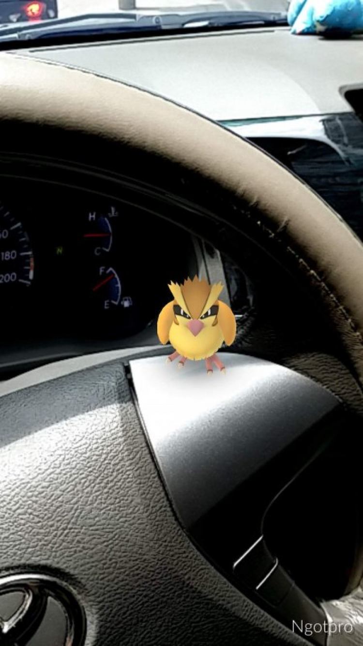 Cẩn thận với Zombie Pokemon (!)  ^_^