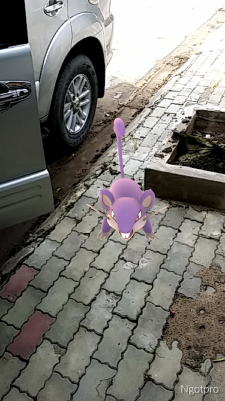 Cẩn thận với Zombie Pokemon (!)  ^_^