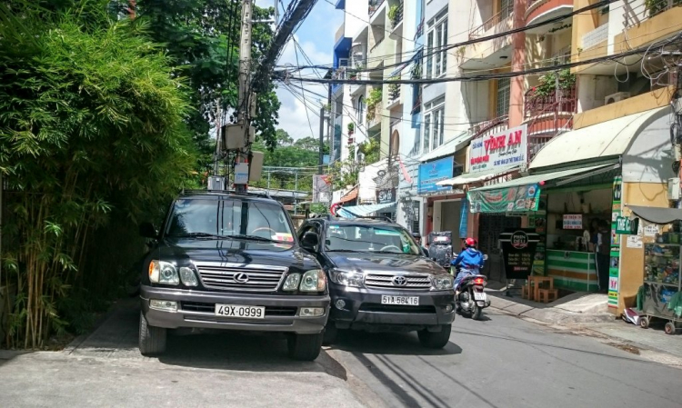 Em  không đứng trên pháp luật !