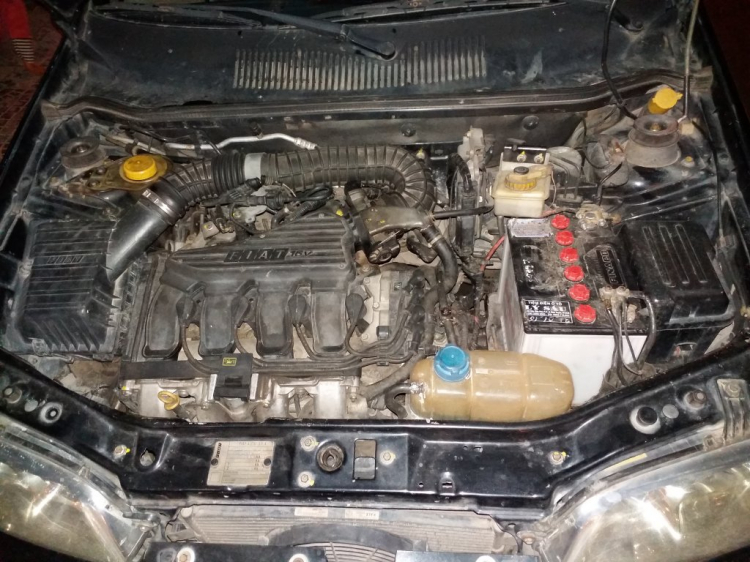 Xuất ngoại, chia tay Fiat Albea Grand HLX 1.6 (cuối 2007) Xuất ngoại, chia tay Fiat Albea Grand HLX 1.6 (cuối 2007)
