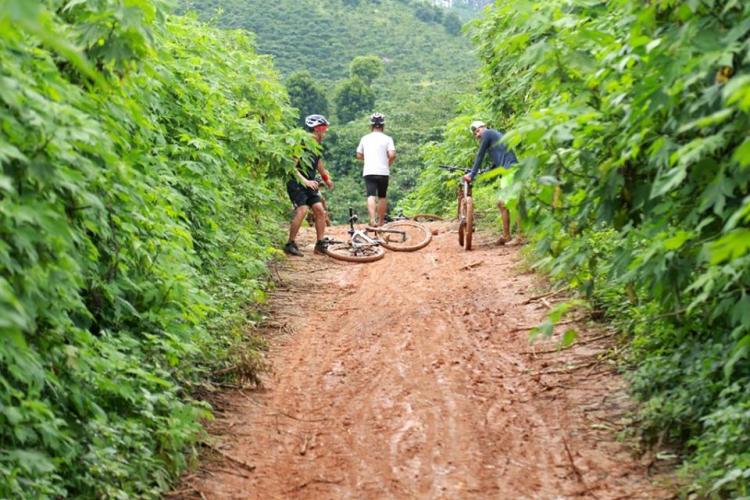 [MTB] Hồ KaLa - những người máu nhiểm bùn (08/2016)