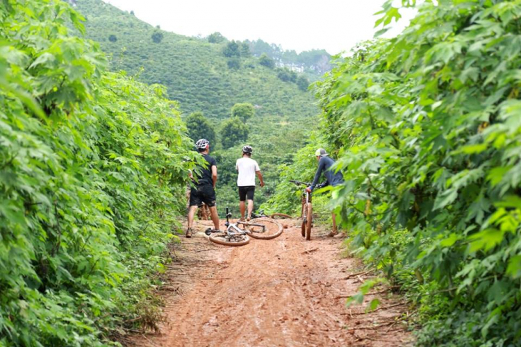 [MTB] Hồ KaLa - những người máu nhiểm bùn (08/2016)