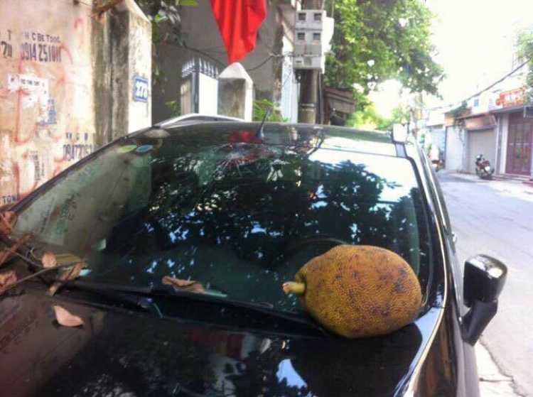 Camry: Trao đổi kinh nghiệm sửa chữa, phụ tùng Camry 8X 9X 0X (Đời 86 đến 2000) Camry: Trao đổi kinh nghiệm sửa chữa, phụ tùng Camry 8X 9X 0X (Đời 86 đến 2000)