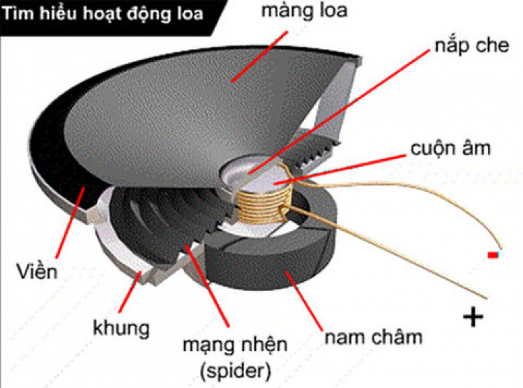 Jolie - Chiếc xe thân thiện