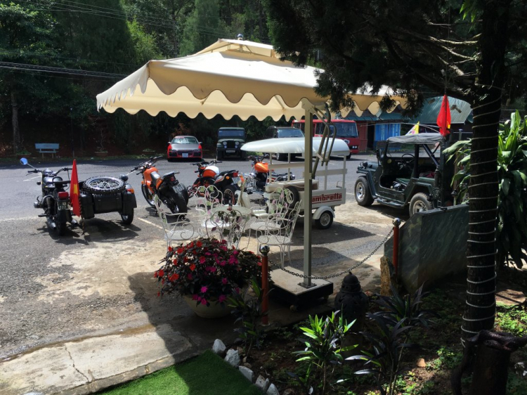 5 Quán cà phê siêu xinh Đà Lạt để check in chụp ảnh