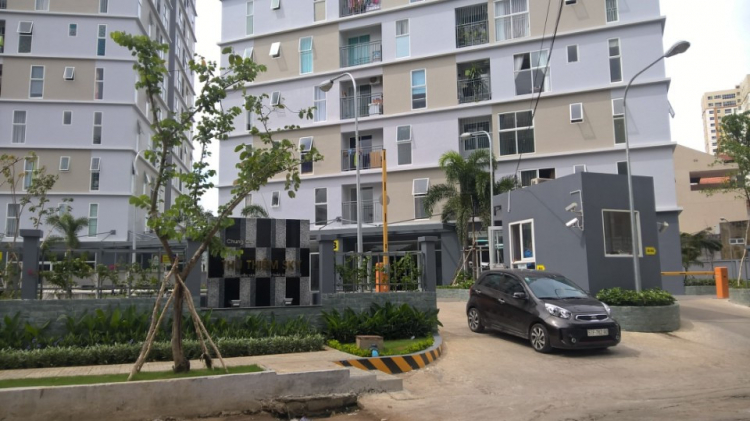 Có Nên Mua Căn Hộ Tropic Garden Quận 2 Có Nên Mua Căn Hộ Tropic Garden Quận 2