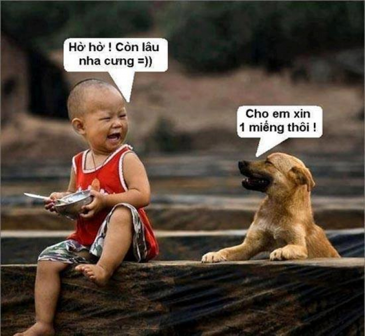 Xa lộ Hà Nội, ngã tư từ làng Đại học Thủ Đức ra, mém bị xxx "thuốc:.