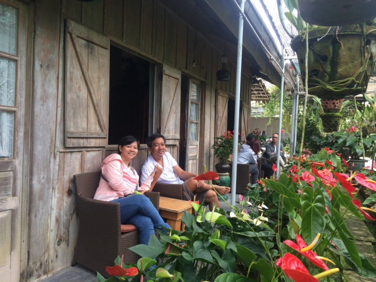 5 Quán cà phê siêu xinh Đà Lạt để check in chụp ảnh