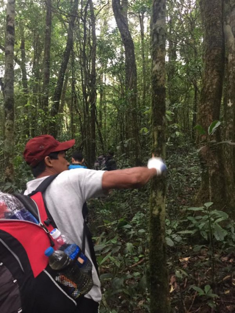 [Trekking] CHINH PHỤC nóc nhà Cao nguyên Di Linh