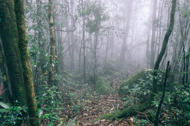 [Trekking] CHINH PHỤC nóc nhà Cao nguyên Di Linh