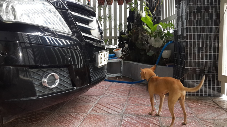 Khoang máy - Căn nhà lý tưởng của anh Tý