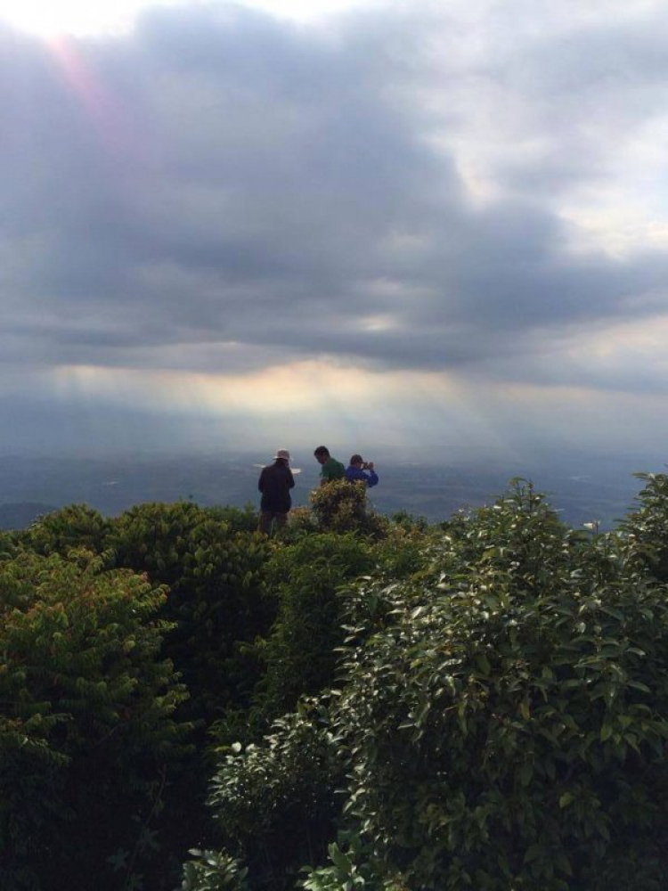 [Trekking] CHINH PHỤC nóc nhà Cao nguyên Di Linh