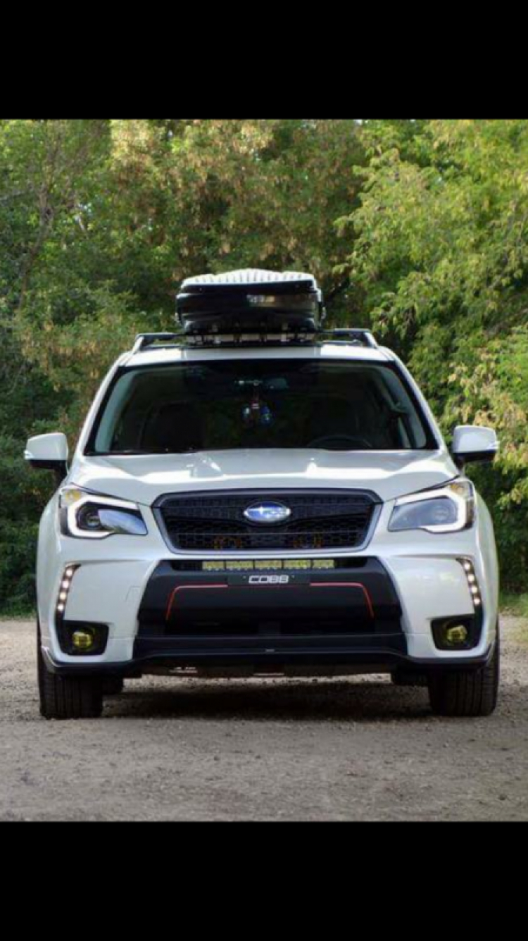 Xin tư vấn Subaru Forester 2.0i L 2015