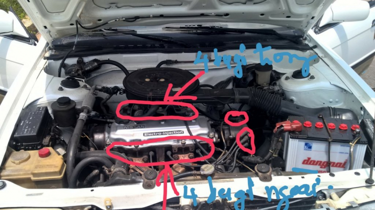 Nissan Bluebird 2.0SGL 1989 - Một kỷ niệm để nhớ , để thân thương ! Nissan Bluebird 2.0SGL 1989 - Một kỷ niệm để nhớ , để thân thương !