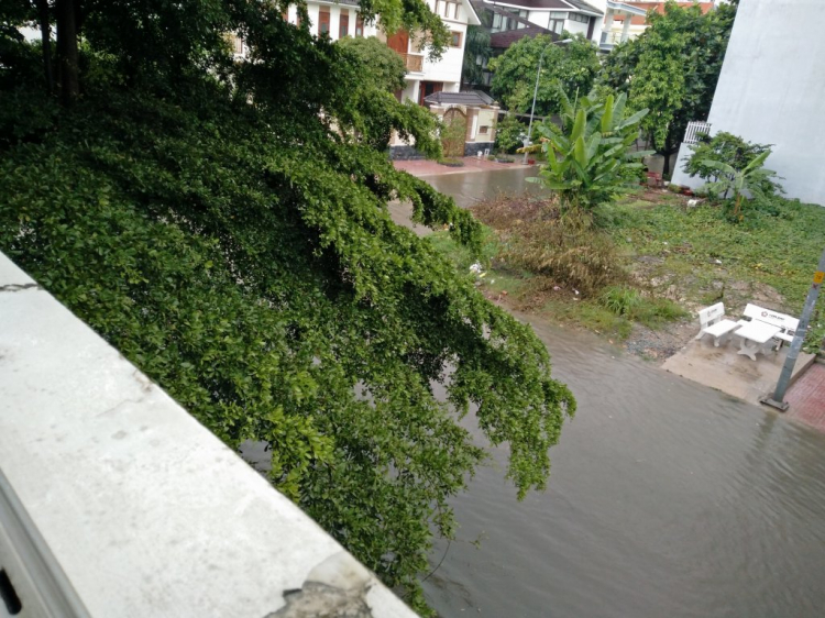 Căn hộ An Phú An Khánh sau lưng Metro