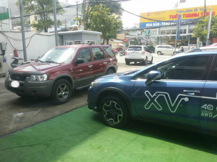 Trao đổi chia sẻ về Ếch ộp Trao đổi chia sẻ về Ếch ộp