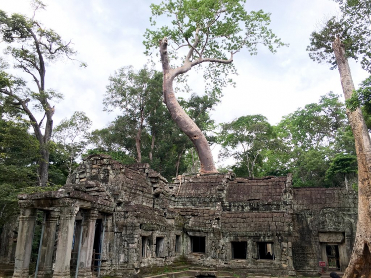 Angkor Wat, Biển Hồ (Tonle sap)- Siem Reap dành cho các bác đi tự túc.