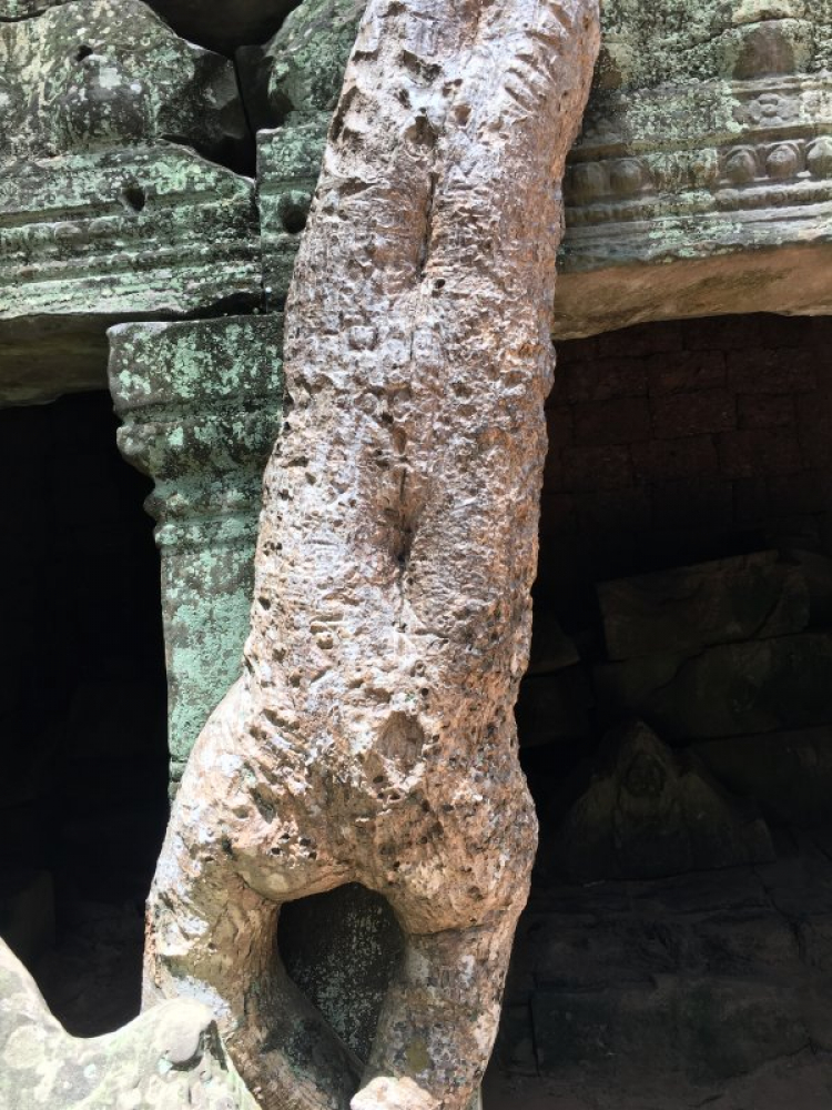 Angkor Wat, Biển Hồ (Tonle sap)- Siem Reap dành cho các bác đi tự túc.