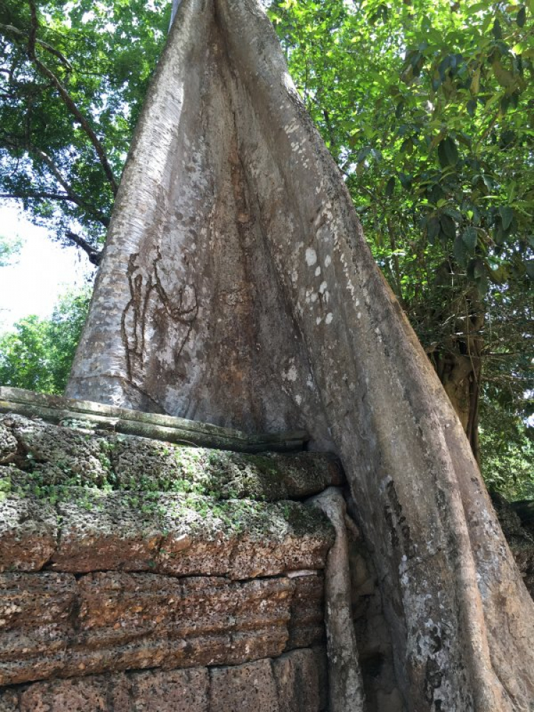 Angkor Wat, Biển Hồ (Tonle sap)- Siem Reap dành cho các bác đi tự túc.