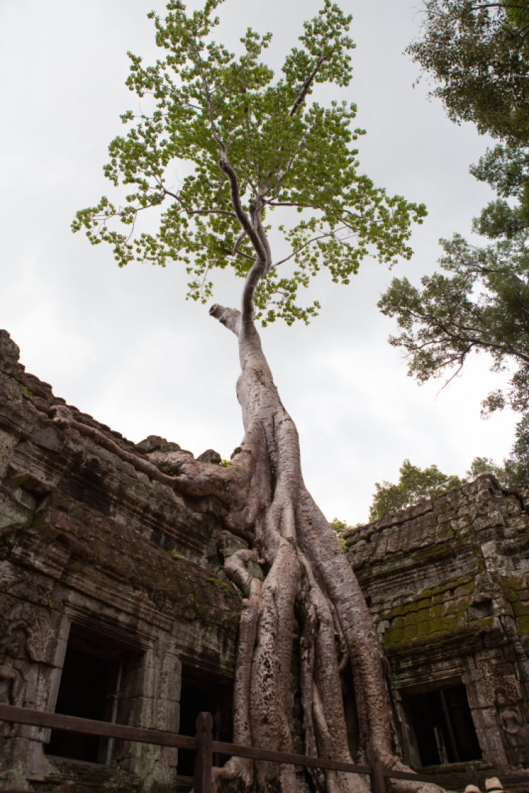 Angkor Wat, Biển Hồ (Tonle sap)- Siem Reap dành cho các bác đi tự túc.