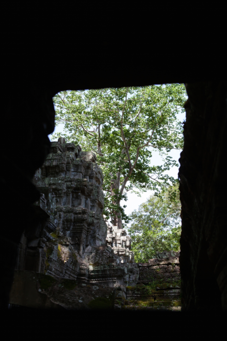 Angkor Wat, Biển Hồ (Tonle sap)- Siem Reap dành cho các bác đi tự túc.