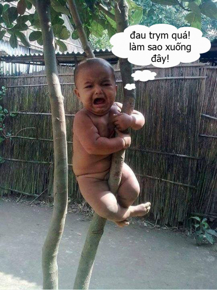 Nếu bị kẹp trim ngay lúc này... Nếu bị kẹp trim ngay lúc này...