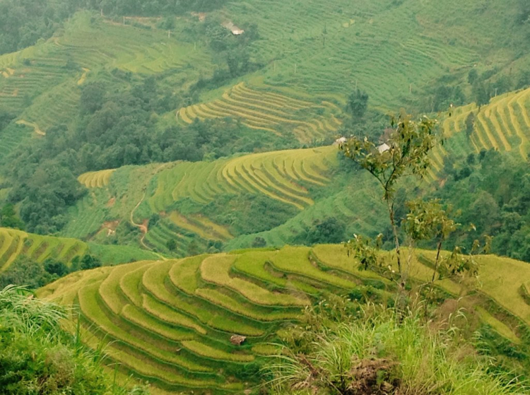 Jolie - Chiếc xe thân thiện