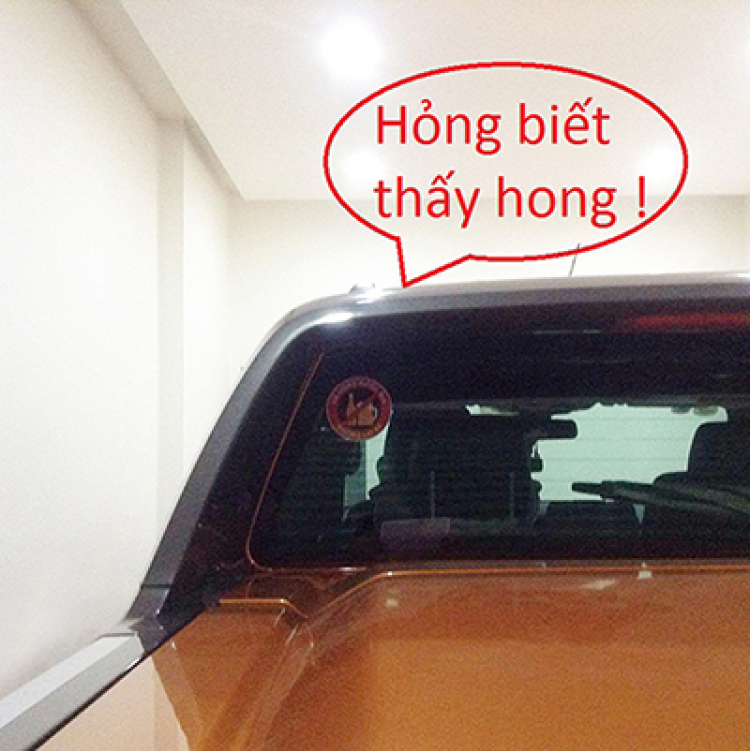 Uống bia - rượu khi lái xe