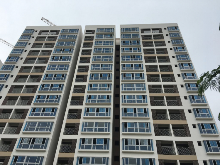 Khu Nam bừng sáng - (Xin miễn rao bán hàng dưới mọi hình thức) Khu Nam bừng sáng - (Xin miễn rao bán hàng dưới mọi hình thức)