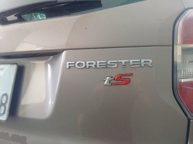 Subaru Forester phiên bản tS - phong cách STI cho thị trường Úc