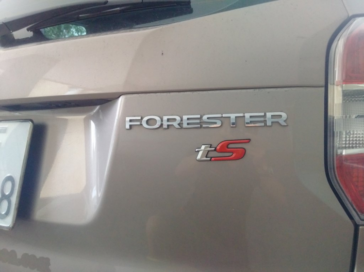 Subaru Forester phiên bản tS - phong cách STI cho thị trường Úc Subaru Forester phiên bản tS - phong cách STI cho thị trường Úc