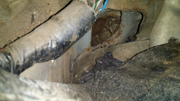 Camry: Trao đổi kinh nghiệm sửa chữa, phụ tùng Camry 8X 9X 0X (Đời 86 đến 2000) Camry: Trao đổi kinh nghiệm sửa chữa, phụ tùng Camry 8X 9X 0X (Đời 86 đến 2000)