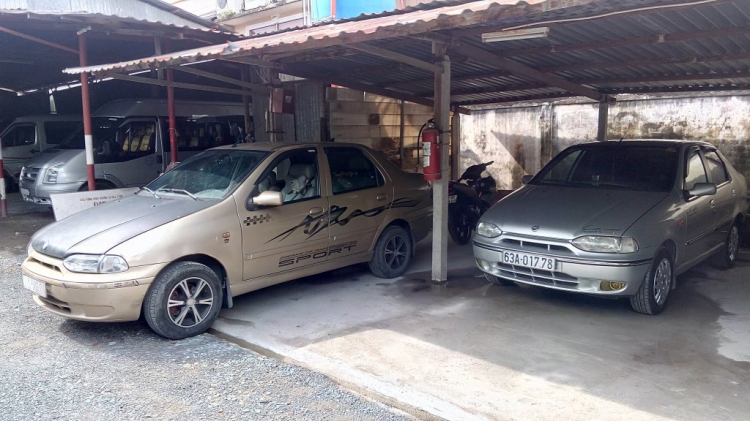 Fiat Albea: tuyệt đỉnh trong tầm giá xe cũ