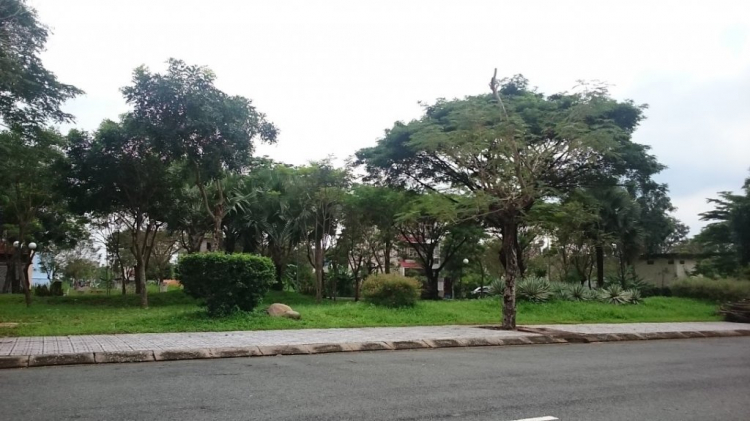 Hưng Phú 1-2 và River Park (River Terrace cũ), Phước Long B, Quận 9 Hưng Phú 1-2 và River Park (River Terrace cũ), Phước Long B, Quận 9