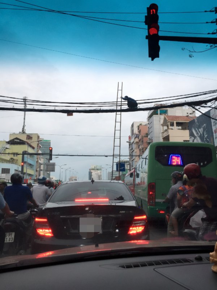 Ruồi bu giờ cao điểm