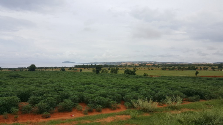 Đường đi Sài Gòn- Phan Thiết qua Bà Rịa - Đất đỏ -Lagi- Kê Gà