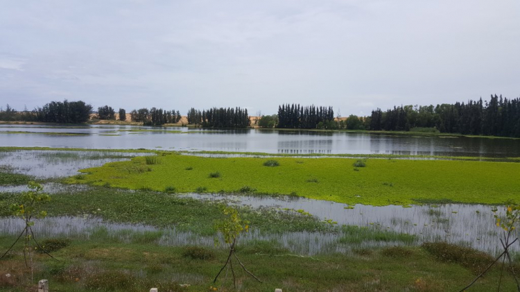 Đường đi Sài Gòn- Phan Thiết qua Bà Rịa - Đất đỏ -Lagi- Kê Gà Đường đi Sài Gòn- Phan Thiết qua Bà Rịa - Đất đỏ -Lagi- Kê Gà