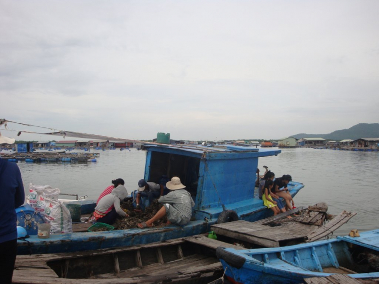 Đạp Long sơn cuối tuần Đạp Long sơn cuối tuần