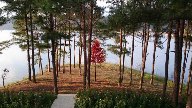 Khách sạn DuParc Dalat có ổn không các bác?