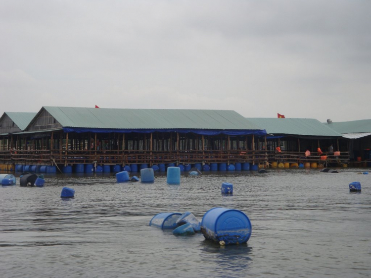 Đạp Long sơn cuối tuần Đạp Long sơn cuối tuần