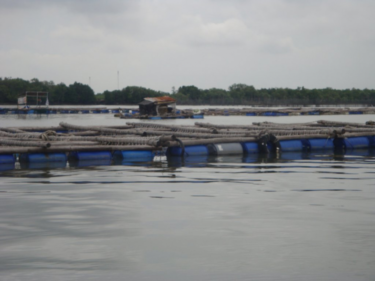 Đạp Long sơn cuối tuần