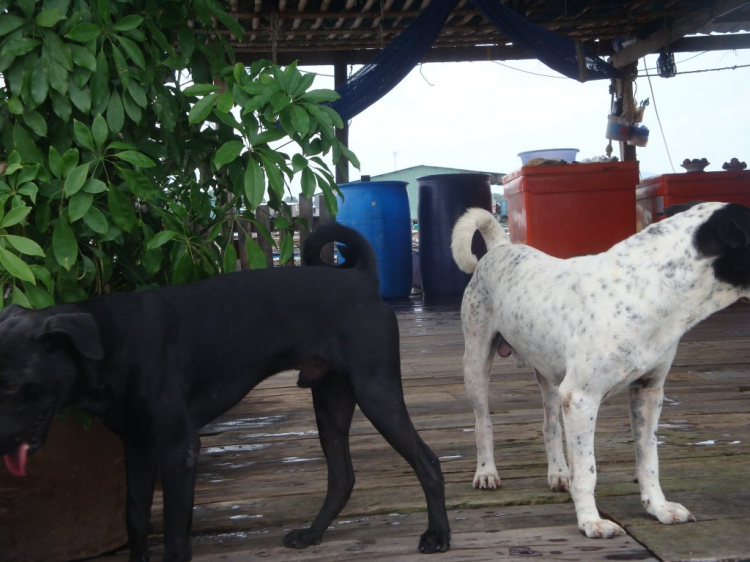 Đạp Long sơn cuối tuần