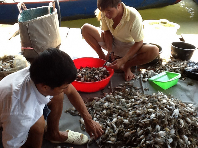 Đạp Long sơn cuối tuần Đạp Long sơn cuối tuần
