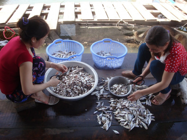 Đạp Long sơn cuối tuần Đạp Long sơn cuối tuần