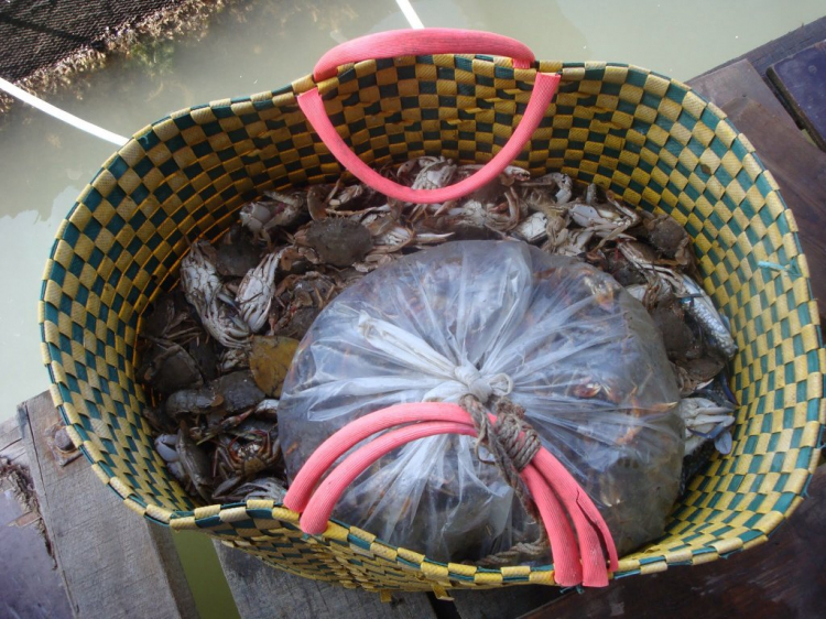 Đạp Long sơn cuối tuần Đạp Long sơn cuối tuần