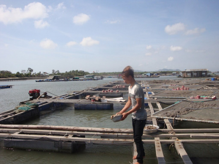 Đạp Long sơn cuối tuần Đạp Long sơn cuối tuần
