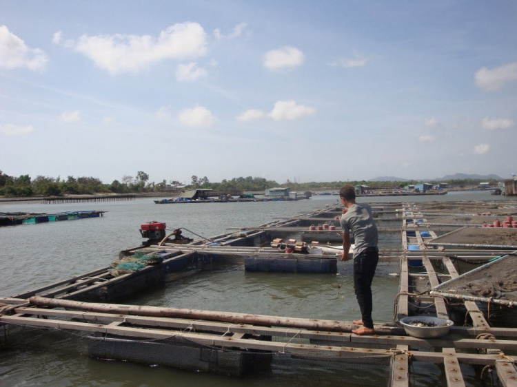 Đạp Long sơn cuối tuần Đạp Long sơn cuối tuần