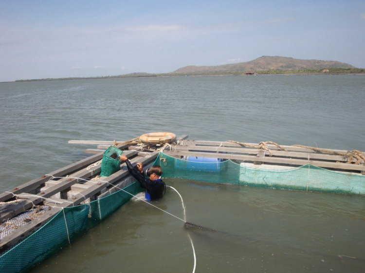 Đạp Long sơn cuối tuần Đạp Long sơn cuối tuần