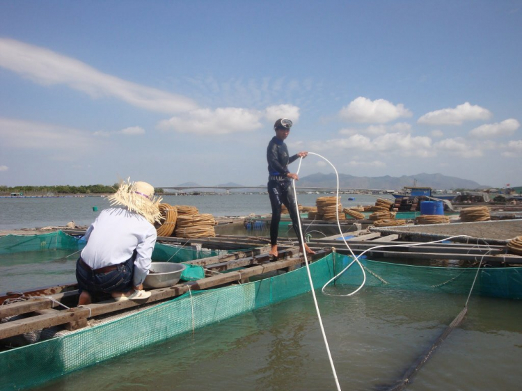 Đạp Long sơn cuối tuần Đạp Long sơn cuối tuần