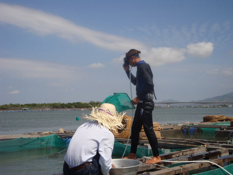 Đạp Long sơn cuối tuần Đạp Long sơn cuối tuần